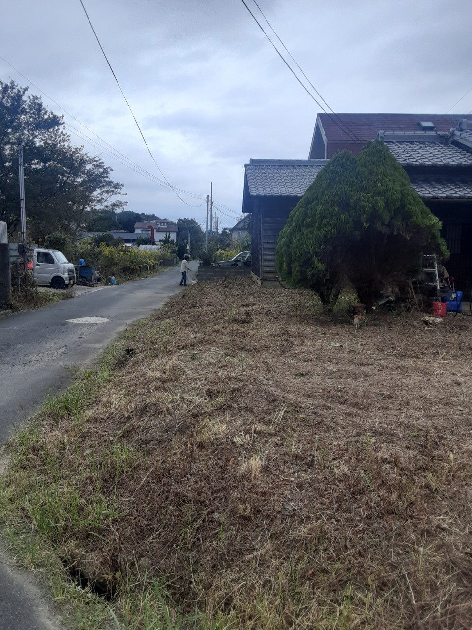 【京都】草刈り